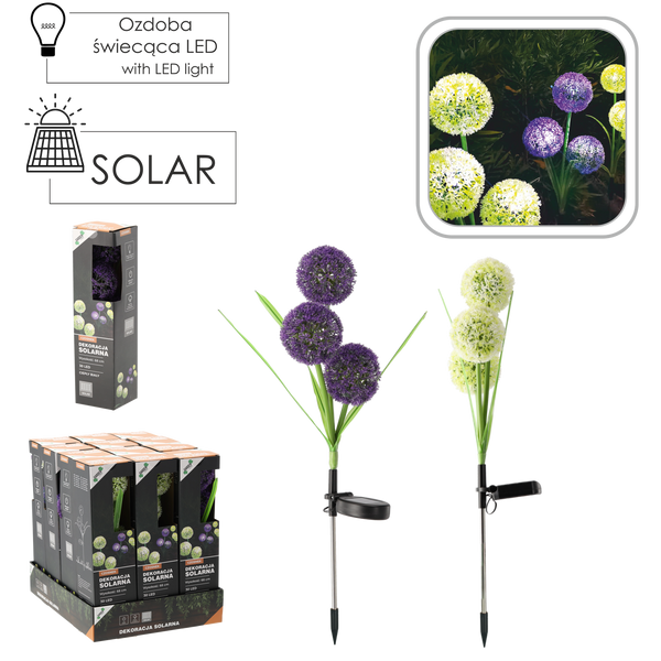 LAMPA SOLARNA H 68 CM CZOSNEK OZDOBNY 30 LED CIEPŁY BIAŁY MIX KOLORÓW disp=12szt *4651