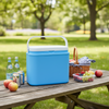 CAMPING COOLER 10L*7169*