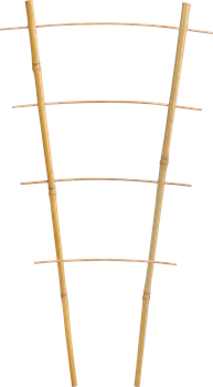 Bamboo double ladder 43 cm pack=25 pcs