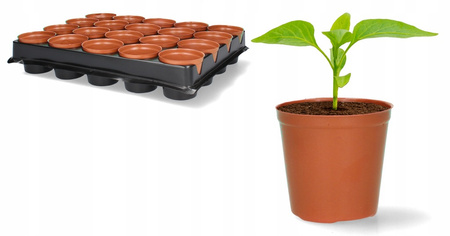 Set de 20 ghivece pentru răsaduri FI 6 CM *3090