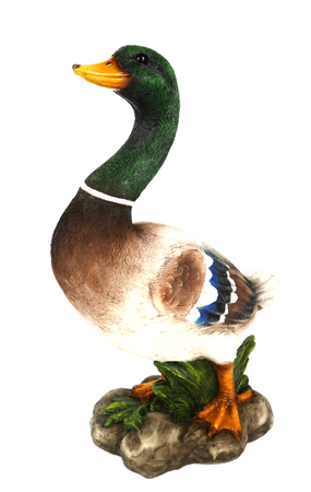 Mallard