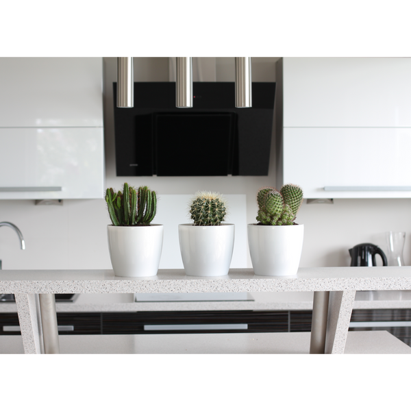 KVĚTINÁČ MAGNOLIA 210 MM – BÍLÝ *52042*