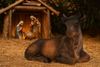 FIGURINE COW 15 x 30 x 20 CM
