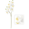 ARTIFICIAL FLOWER - ORCHID 64 CM WHITE
