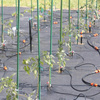 SET OF 71PCS FOR MICRO IRRIGATION 23M pack=4pcs