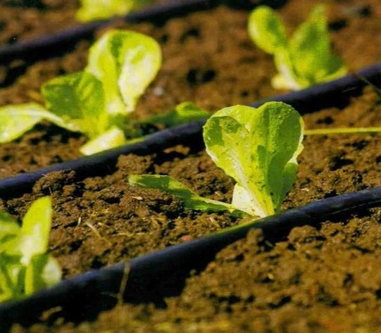 SET OF 71PCS FOR MICRO IRRIGATION 23M