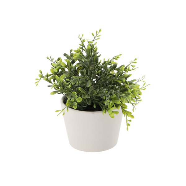 PLANTĂ ARTIFICIALĂ - BUXUS ÎN GHIVECI ambalaj=6 buc *3320