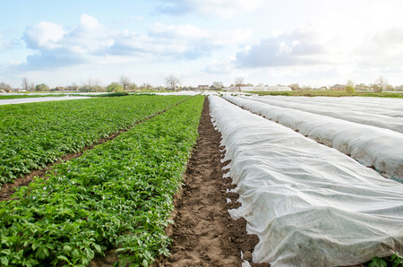 AGROTEXTIL 1.6 x 5 M JARNÍ BÍLÝ 17g *2067