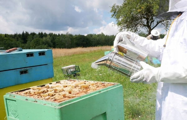 BEEKEEPER VACUUM CLEANER GALVANIZED 27 CM