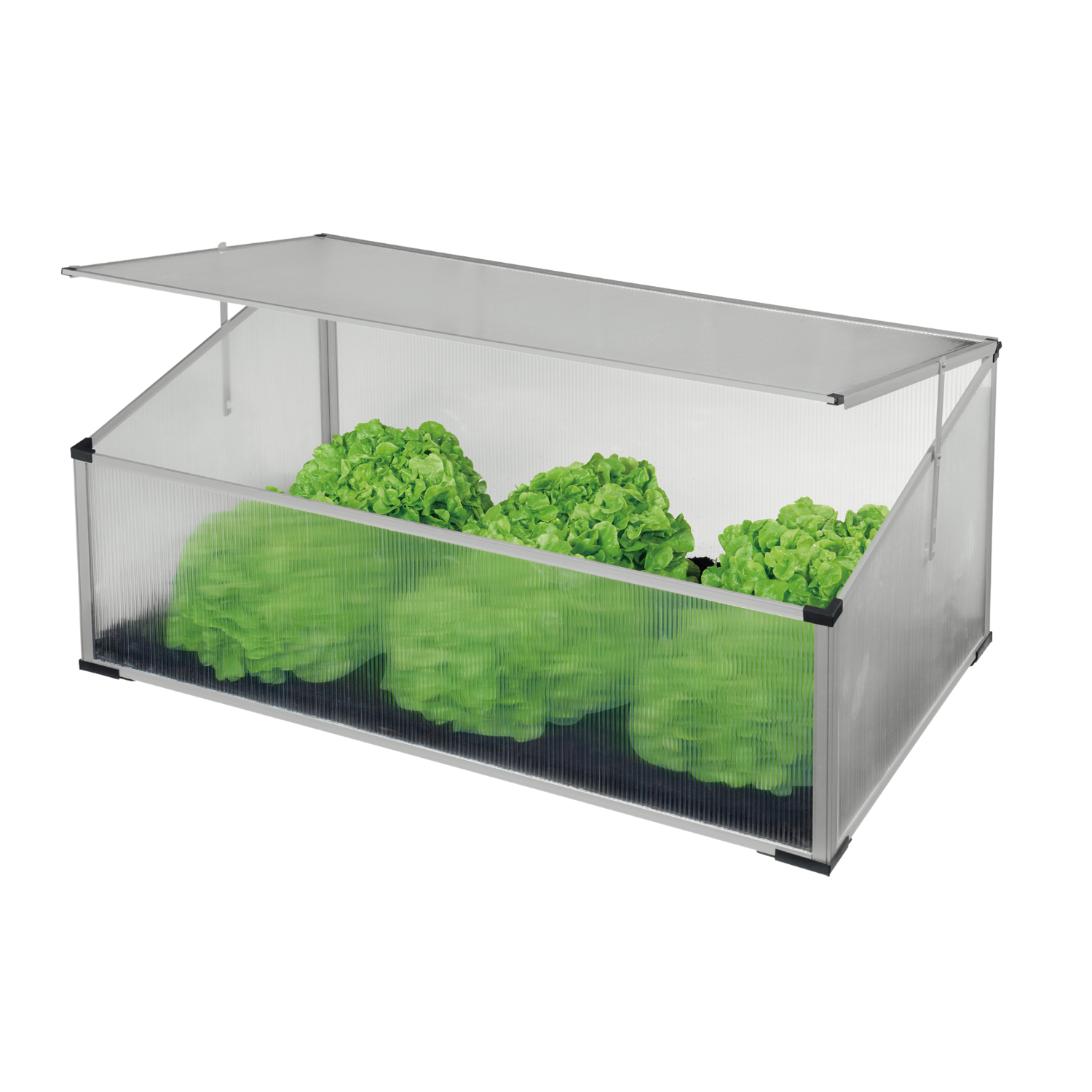 SZKLARNIA / ROZSADNIK 100 x 60 x 30/40 CM Z POLIWĘGLANU pol_pl_SZKLARNIA-ROZSADNIK-100-x-60-x-30-40-CM-Z-POLIWEGLANU-3972-1519_1