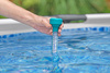 Flowclear™  Floating Pool Thermometer