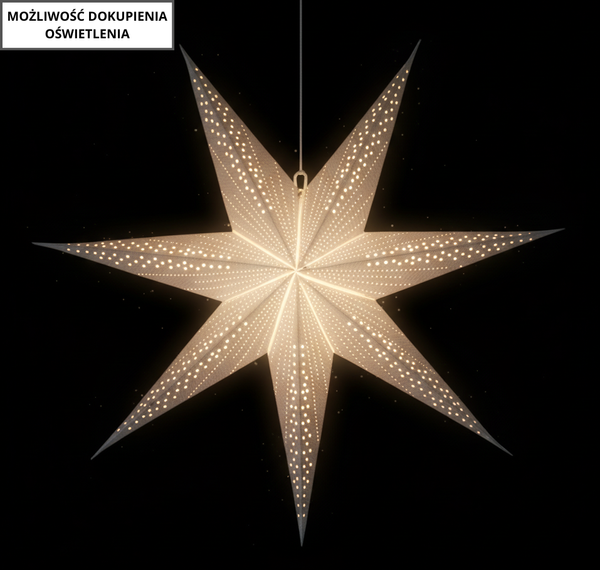 PAPER DECORATIVE STAR 60 CM GRAY
