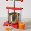 EXTRACTOR DE SUCURI DE FRUCTE 2 L 24,6 x 21,6 x 34,8 CM *1400