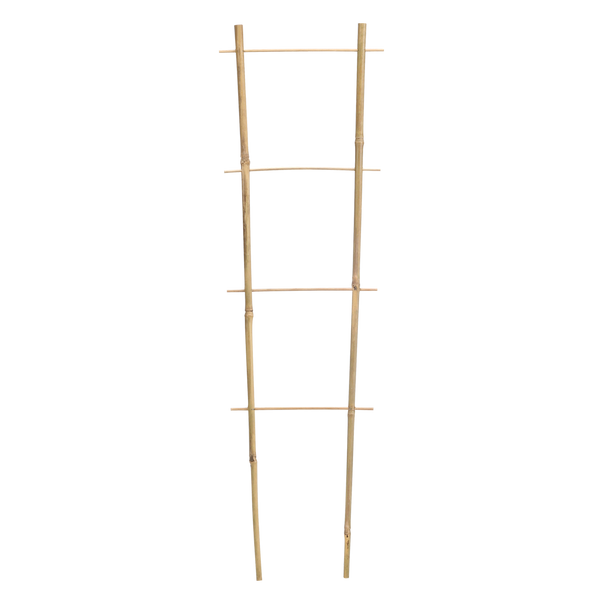 DVOJITÁ BAMBUSOVÁ PADAJÚCA 60 CM bal=25ks *3144