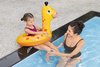 Bestway Lil' Pal Swim Tube