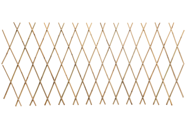 Bamboo Stake Foldable 200 cm x 200 cm x 16/18 mm