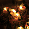 SOLAR LIGHT 20 LED