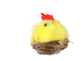 SET OF 12 EASTER CHICKS COLOR MIX