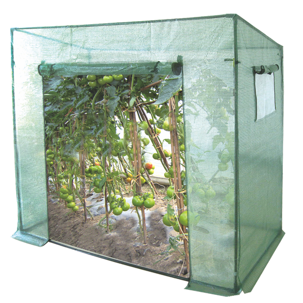 TOMATO GREENHOUSE GREEN 200 X 77 X 168/146 CM
