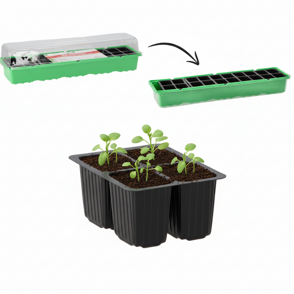 MINI SERĂ DE ÎNCLINARE 20 CELULE