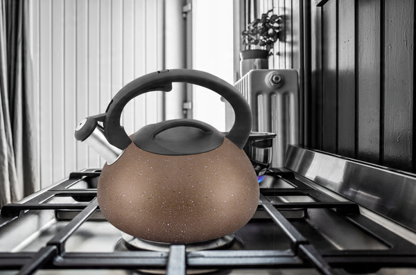 CZAJNIK ZE STALI NIERDZEWNEJ BRĄZOWY IWO 2,5L *7859