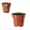 SET OF 5 PP POTS 14.5 x 12 CM