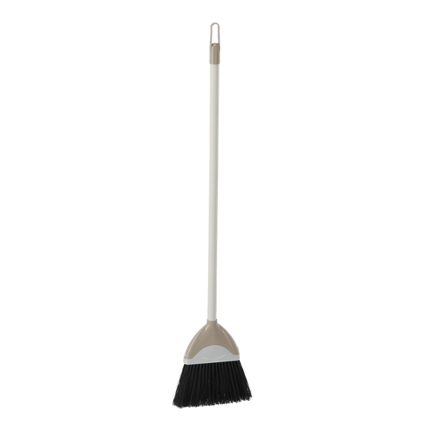 LAZY SWEEPER + BROOM
