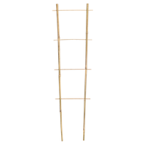 Bamboo ladder 120 CM x 10/28 CM x 10/12 MM pack=25pcs