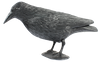 ODSTRAŠOVAČ PTÁKŮ - HAVRAN 36 x 13 x 18 cm *9257
