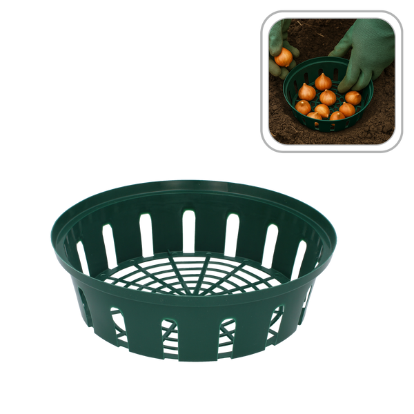 Coș / Capac pentru plantarea bulbilor 26 x 6 CM *4948