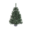 MONTANA SPRUCE IN POT 1.1 M CHRISTMAS TREE
