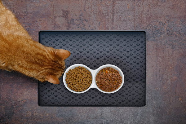 PET MAT