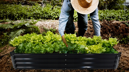 VEGETABLE-FLOWER BED 180 X 90 X 30 CM RECTANGULAR ANTHRACITE