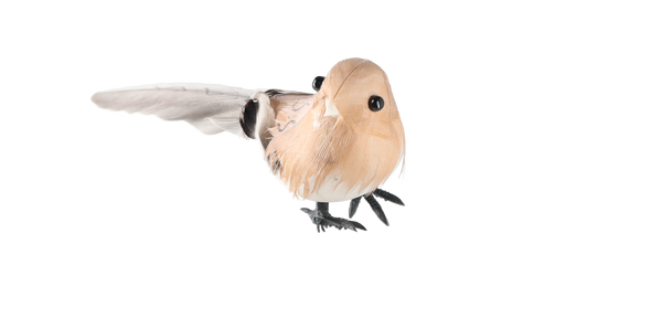 SADA 2 VTÁČIKOV NA KLIPSE 6,5 x 11 x 4,5 CM MIX 4 FARBY *7800