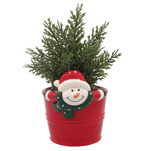 ARTIFICIAL PLANT IN DECORATIVE CERAMIC POT 10 x 17.5 CM MIXED DESIGNS