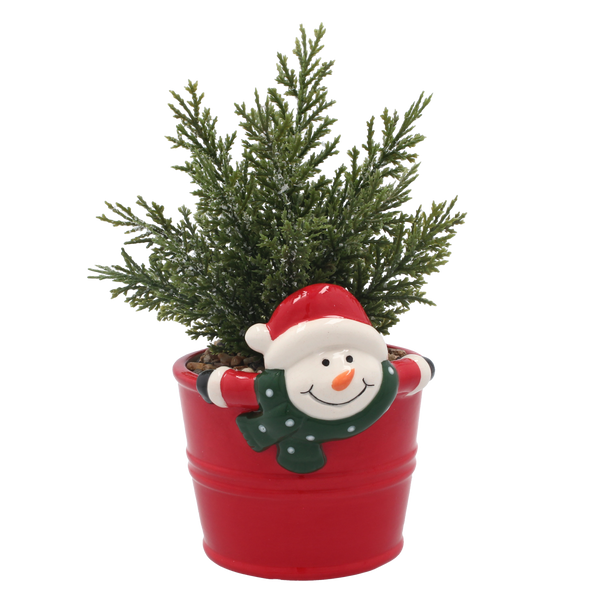 PLANTĂ ARTIFICIALĂ ÎN GHIVECI DE CERAMICĂ DECORATIVĂ 10 x 17,5 CM MIX DE MODELE *5203