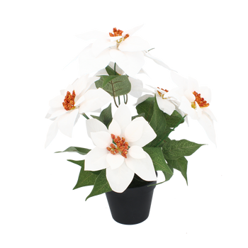 UMELÝ KVIET - HVIEZDA BETLEHEMSKÁ 35 CM V ČIERNEJ KERAMICKEJ NÁDOBKE BIELA *3803