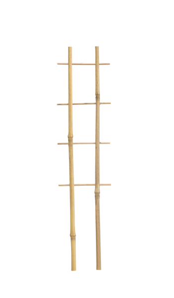 LADĂ BAMBUS DUBLĂ 37 CM ambalaj=25buc *3120