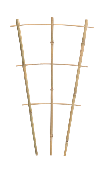 TROJITÁ BAMBUSOVÁ REBRÍK 46 CM bal=25ks *3168