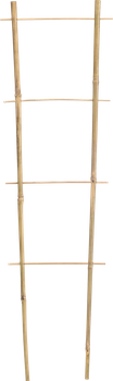 DRABINKA BAMBUSOWA PODWÓJNA 45 CM opak=25szt *3137