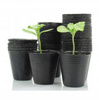 SET OF 100 POTS FOR PLANTING 6 X 5.8 CM