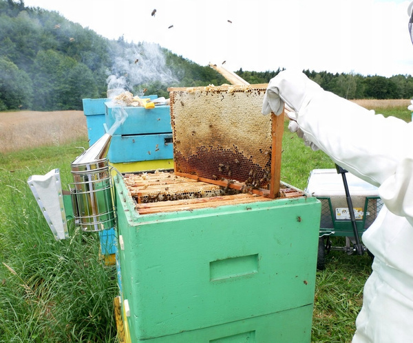 Včelařský smeták 36 cm *2892