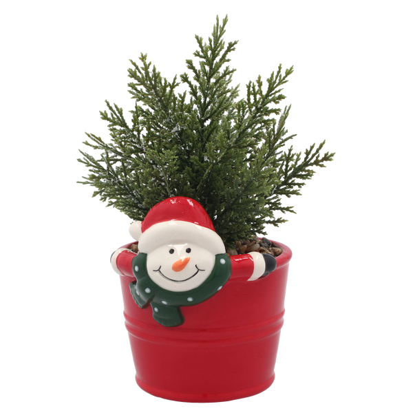 ARTIFICIAL PLANT IN DECORATIVE CERAMIC POT 10 x 17.5 CM MIXED DESIGNS