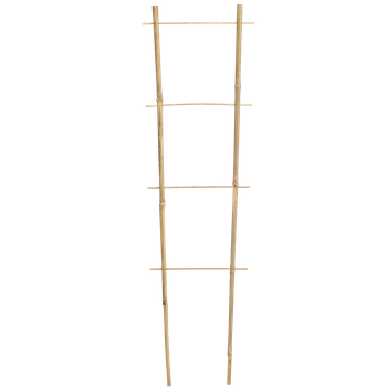 BAMBUSOVÉ ŽEBŘÍK 180 CM x 10/28 CM x 10/12 MM balení=25ks *1688
