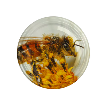 LID fi82 6z LARGE BEE ON A FLOWER CART.660PCS HAMSTER