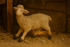 FIGURĂ OVIȚĂ 8 x 19 x 17 CM (60,96 CM) poliester *3082