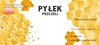 KPL. 100 ETYKIET PYŁEK PSZCZELI 116 x 50 MM *8320