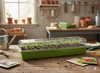 MINI GREENHOUSE FOR GERMINATION 20 CELLS