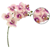UMELÁ VETVIČKA - ORCHIDEA 82 CM RŮŽOVO-BIELA balenie=24 ks *3650