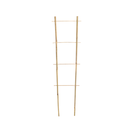 Bamboo ladder 75 CM x 35 CM x 10/12 MM pack=25 pcs
